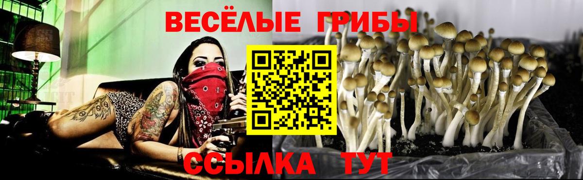 Псилоцибиновые грибы ЛСД  Вход с VPN  Белогорск 
